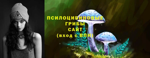 спиды Алексеевка