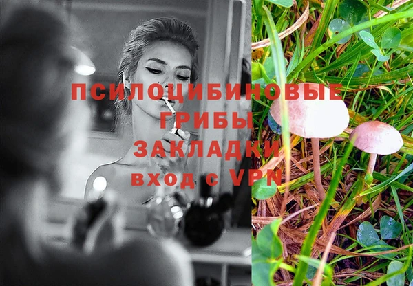 винт Алексин