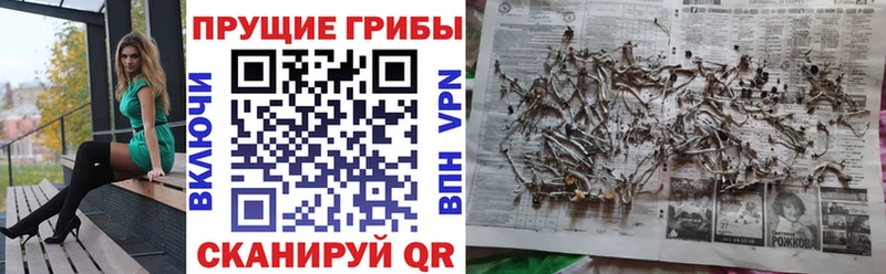 Галлюциногенные грибы GOLDEN TEACHER  Купить  Петровск-Забайкальский 